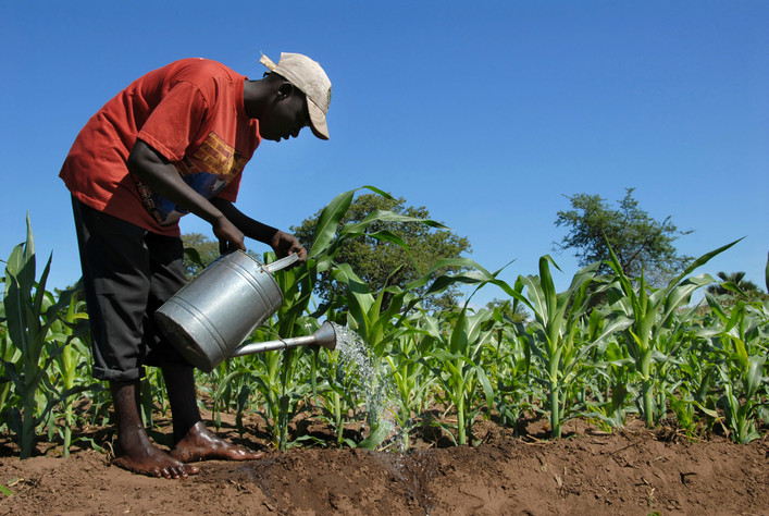 agriculture